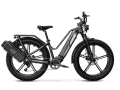 Vorschaugrafik: Fiido Fatbike