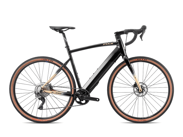 Fuji E-Jari L