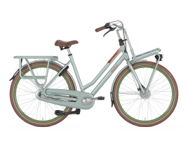 Gazelle Heavy Duty NL - Citybike - 2018 - Zweirohr ...