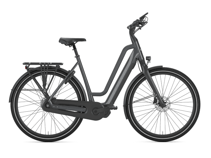 Foto: Gazelle Chamonix C7 HMS E-Bike City