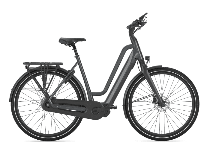 Foto: Gazelle Chamonix C7 HMS S7 E-Bike City