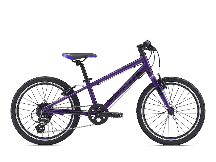 Giant ARX 20 Violett