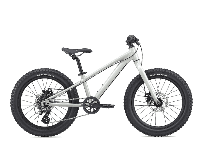 Giant STP 20 