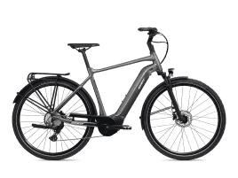 Giant DailyTour E+ 2 Dash D 