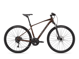 Giant Roam Disc 2 S | Hematite