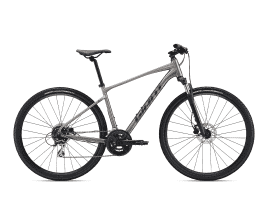 Giant Roam Disc 3 