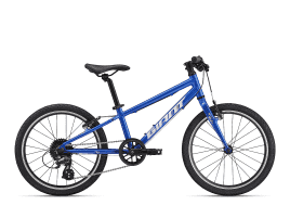 Giant ARX 20 