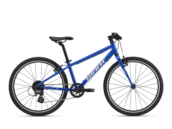 Foto: Giant ARX 24 Fahrrad MTB Hardtail