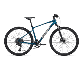 Giant Roam Disc 0 