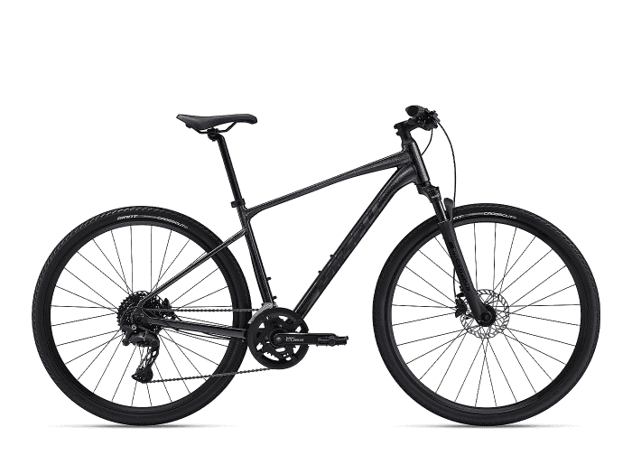 Giant Roam Disc 1 