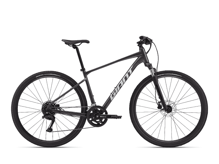 Giant Roam Disc 2 S