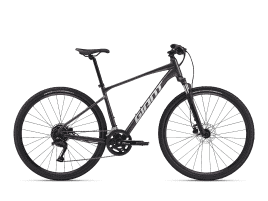 Giant Roam Disc 2 XL