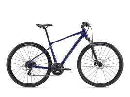 Giant Roam Disc 3 XL | Gloss Performance Blue / Brushed Chrome