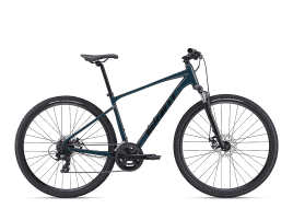 Giant Roam Disc 4 S