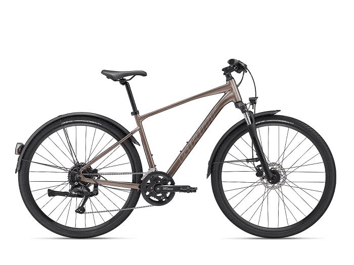Giant Roam EX 
