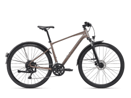 Giant Roam EX 