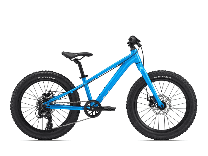 Foto: Giant STP 20 Fahrrad MTB Hardtail