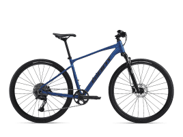 Giant Roam 1 