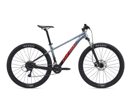 Giant Talon 3 L (29″) | Gloss Frost Silver