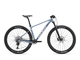 Giant XTC SLR 29 2 L | Frost Silver