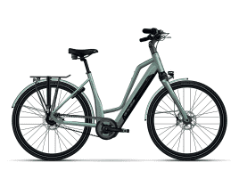 Granville E-Elegance Zweirohr | L | Belt, NEX | 750 Wh