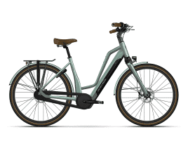 Granville E-Elegance Zweirohr | XL | NEX | 750 Wh