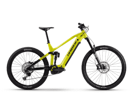 Haibike AllMtn 6 S | nebular lime/black - glossy