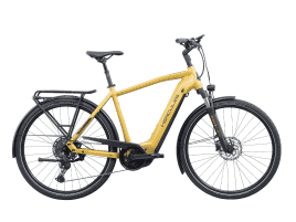 Hercules Futura I-10 Diamant | 61 cm | gold-matt