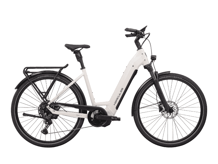 Foto: Hercules Futura I-10 Ltd E-Bike Trekking