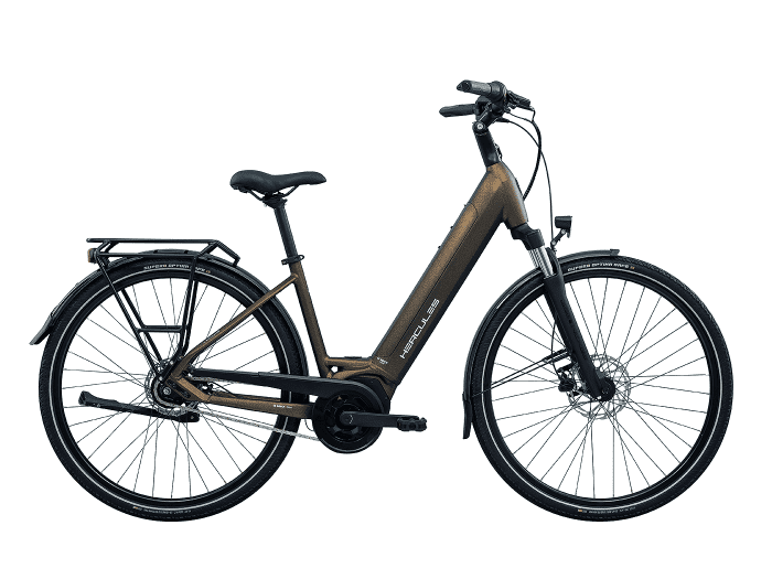 Foto: Hercules Lyon I-8 E-Bike City