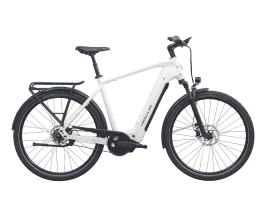 Hercules Roberta HD I-F5 Ltd Diamant | 53 cm