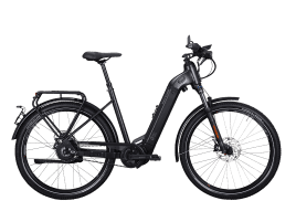 KETTLER Quadriga DUO CX SPEED Wave | 50 cm | 1.250 Wh