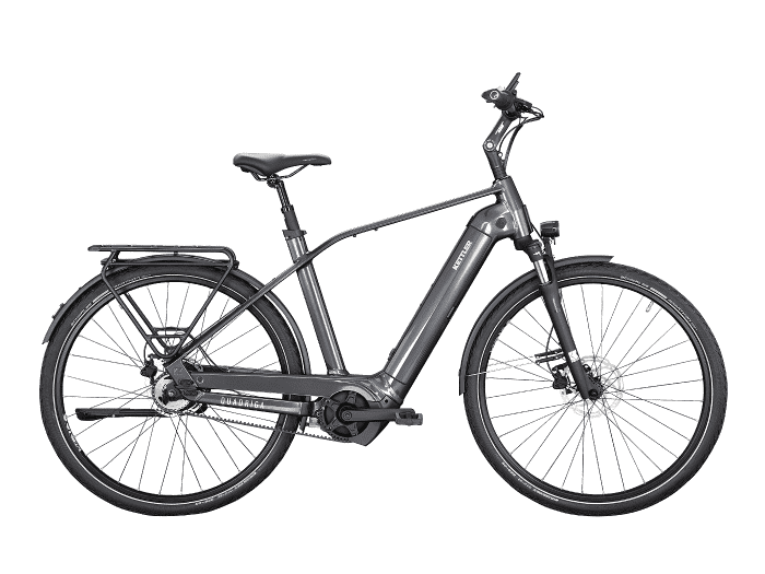 Foto: KETTLER Quadriga P5 Belt FL E-Bike Trekking