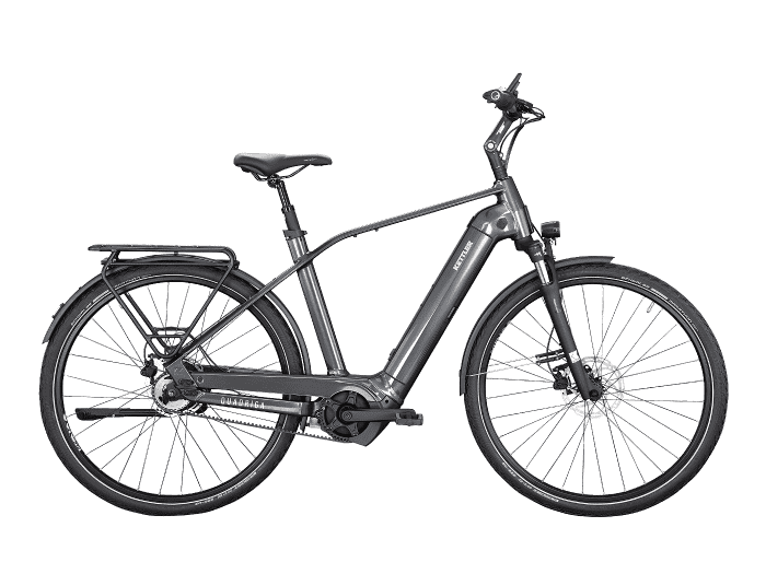 Foto: KETTLER Quadriga P5 Belt (rt) E-Bike Trekking