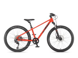 KTM Wild Speed Disc 24 