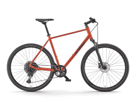 KTM X-Life Cross 