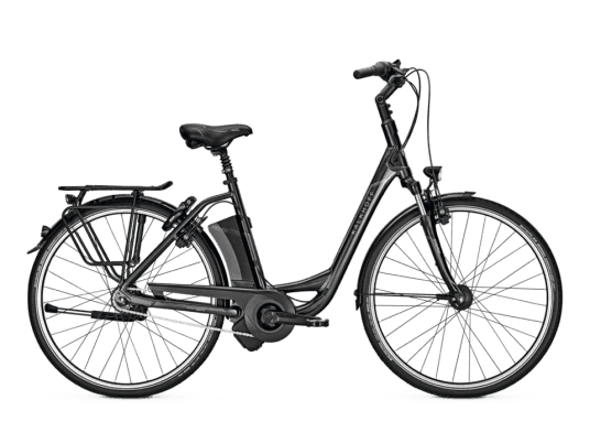 flyer 8-g elektrorad e-bike ebike fahrrad pedelec