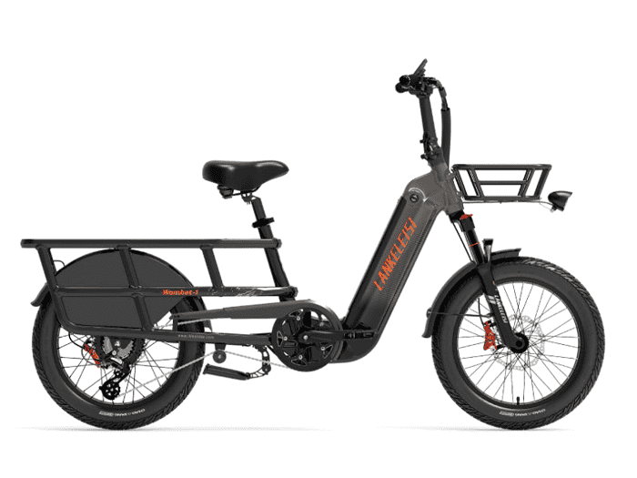 Foto: Lankeleisi Wombat-1 E-Bike Lastenfahrrad