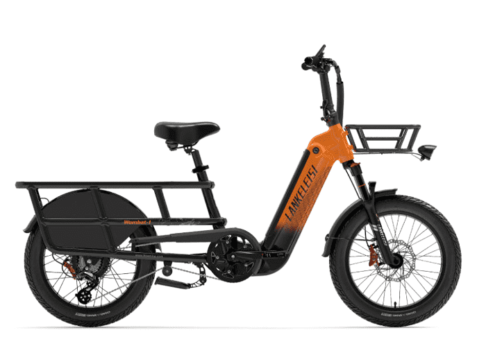 Foto: Lankeleisi Wombat-1 E-Bike Lastenfahrrad