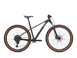 Liv Tempt 1 S (29″)