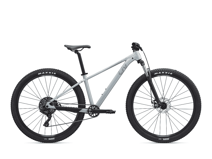 Liv Tempt 4 L (29″) | Satin Nordic Breeze / Frost Silver