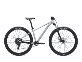 Liv Tempt 4 L (29″) | Satin Nordic Breeze / Frost Silver