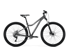 MERIDA MATTS 7. 70 L | matt cool grey