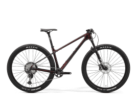 MERIDA BIG.NINE XT 