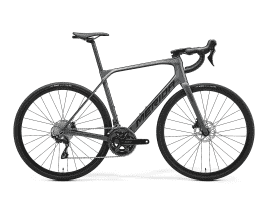 MERIDA SCULTURA ENDURANCE 4000 XS | silk dark silver