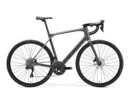 MERIDA SCULTURA ENDURANCE 6000 L | silk dark silver