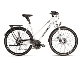 Mammut-Bike E-Dition Comfort 8.0 