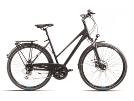 Mammut-Bike Edition Sport 6.0 Trapez | 55 cm