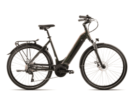 Mammut-Bike E-Dition Sport 9 Einrohr | 45 cm