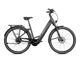 Mammut-Bike Edition 5 CX Einrohr | 55 cm